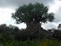 SDC10073