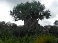 SDC10075