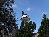 SDC10049