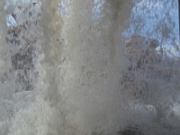SDC10055