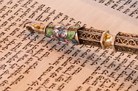jessiebatmitzvah-54